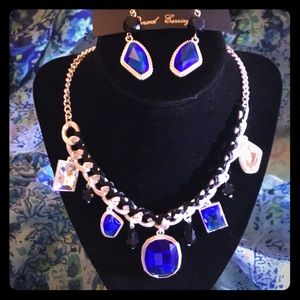 NWT & box / Park Lane Fascinated necklace & ER set